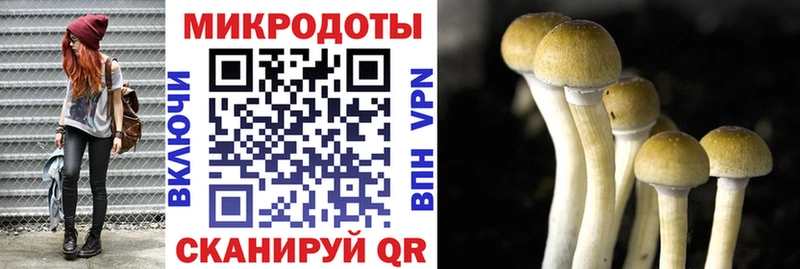 Псилоцибиновые грибы MAGIC MUSHROOMS  даркнет сайт  Хотьково 